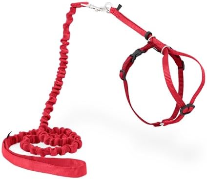 PetSafe Come With Me Kitty Harness and Bungee Leash, Harness