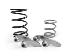 Load image into Gallery viewer, Photo - Primary