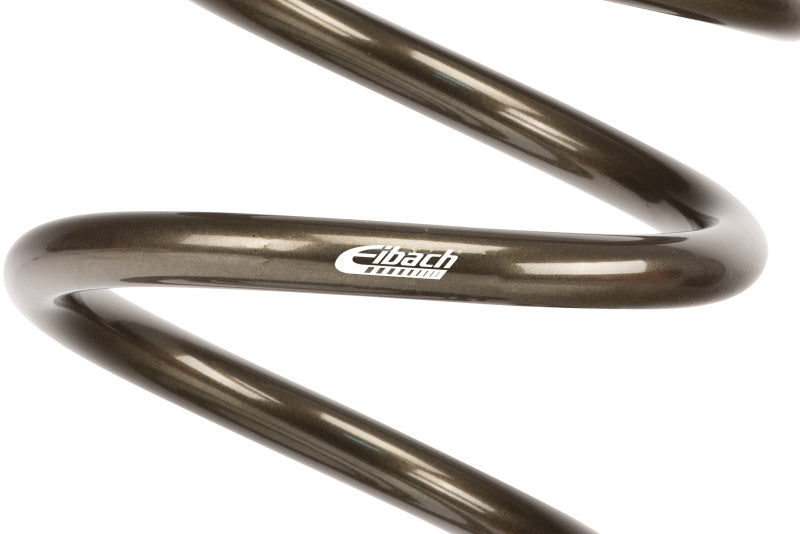 Eibach ERS 20in L x 3.50in OD Platinum Rear Spring - 100 lbs/in