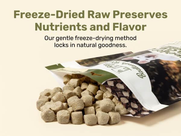 Superfood Nuggets- Premium, Freeze-Dried raw Dog Food Topper or Treat. Powerful Nutrient-Dense Ingredients. No Artificial additives. Beef Tripe and Kale Formula 8oz - 4pk Bundle