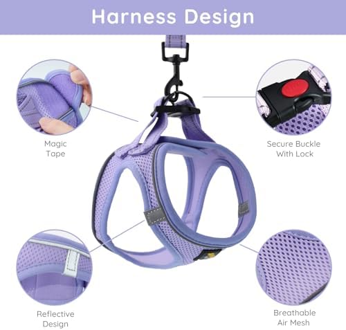 BELLA & PAL Step in Puppy Harness and Leash Set