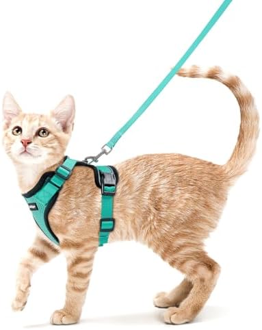 rabbitgoo Cat Harness and Leash Set, Escape Proof Vest