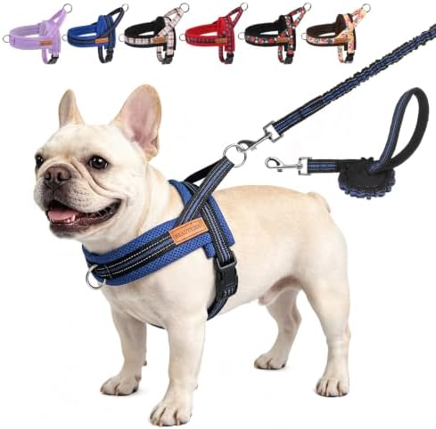 BEAUTYZOO Dog Harness Medium Sized and Leash Set, No Pull Step in Pet Vest