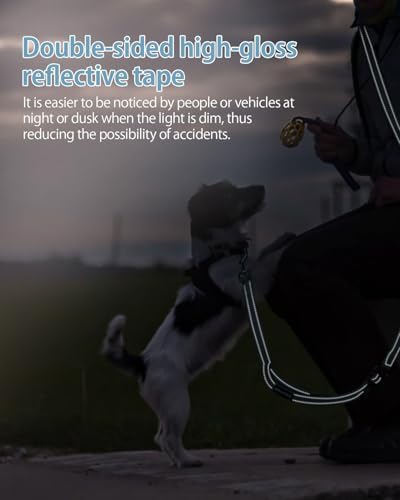 Hands Free Dog Leash