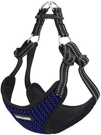 Voyager Step-in Flex Adjustable Dog Harness