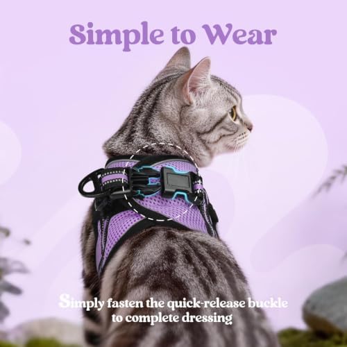 rabbitgoo Cat Harness and Leash Set, Step-in Soft Vest, Light Purple