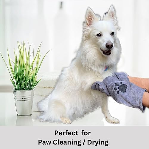 Penny & Niko Microfiber Pet Towel Mitts