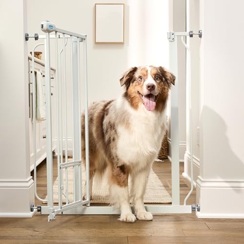 Carlson 36" Extra Tall Walk Through Dog Gate