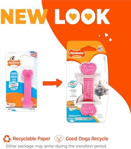 Nylabone Puppy Chew Pink Textured Teething Dog Bone
