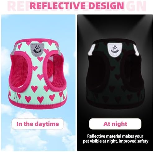 KOOLTAIL Valentines Dog Harness and Leash Set