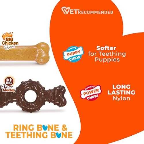 Nylabone Puppy Chew Teething Bone and Ring Bone Dog Chew Toys