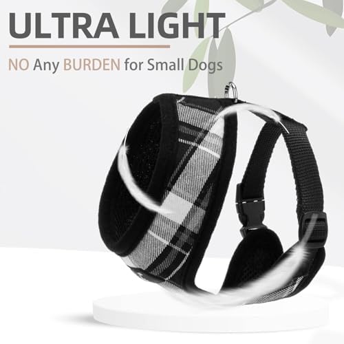 PUPTECK Small Dog Harness and Leash Set No Pull