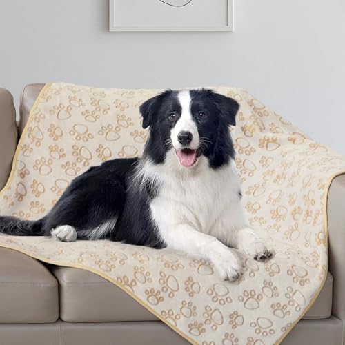 Stuffed Premium Soft Dog Blanket,