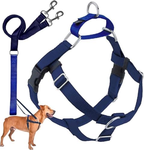 2 Hounds Design Freedom No Pull Dog Harness and Leash