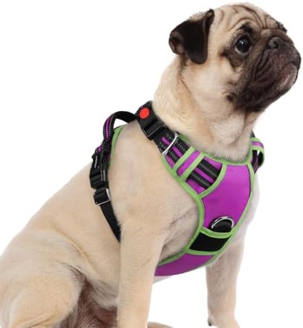 rabbitgoo Dog Harness Small Sized, No Pull 3 Buckles Easy On & Off