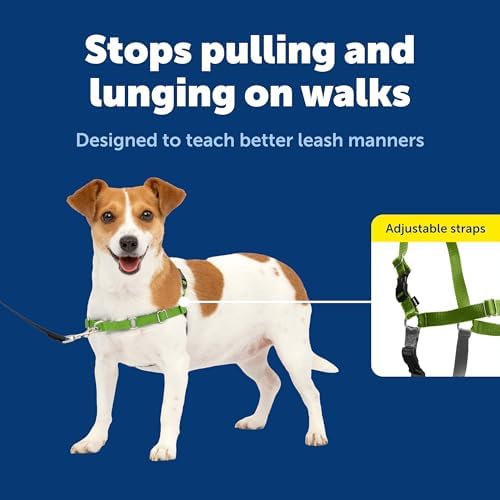 PetSafe Easy Walk Harness for Dogs