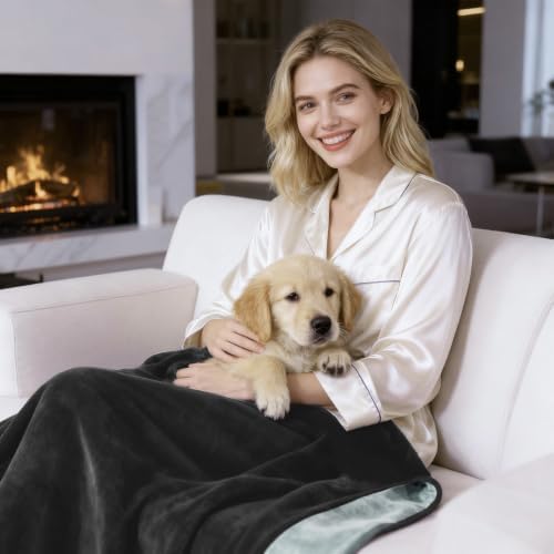 QiyI Reversible Waterproof Blanket