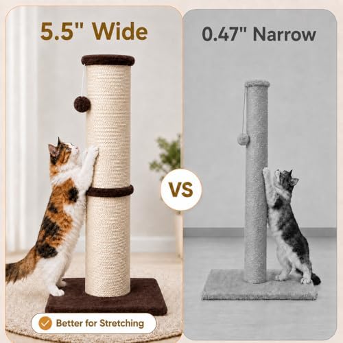 PAWSCRAT 32-Inch Tall Cat Scratching Post, 5.5-Inch Diameter