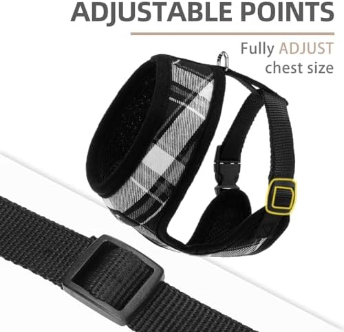 PUPTECK Small Dog Harness and Leash Set No Pull