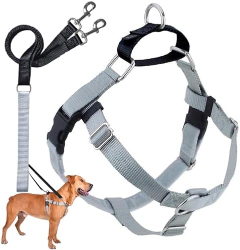 2 Hounds Design Freedom No Pull Dog Harness and Leash