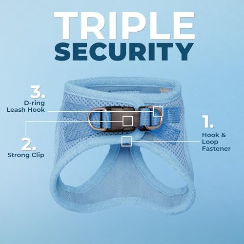 Voyager Step-in Air Cat Harness & Leash Set