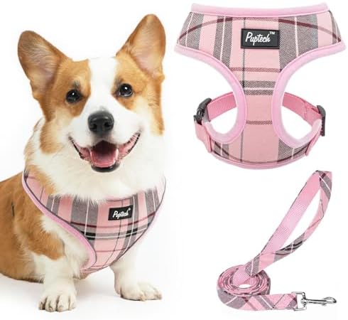 PUPTECK Small Dog Harness and Leash Set No Pull