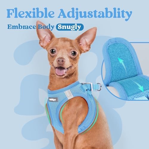 rabbitgoo Step-in Small Dog Harness, Puppy Vest