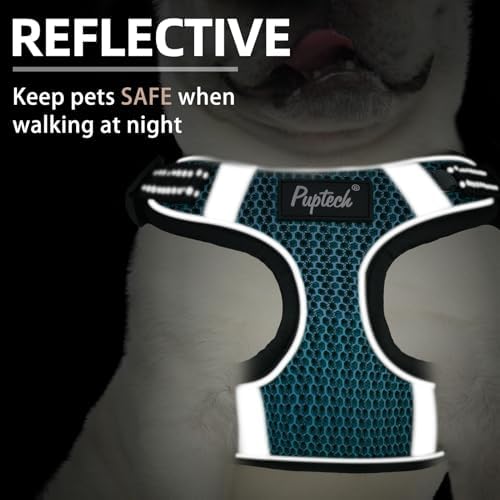PUPTECK Dog Harness and Leash Set Medium Sized, Step in No Pull Adjustable