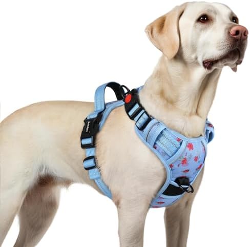 rabbitgoo Dog Harness for Large, Updated Easy On & Off