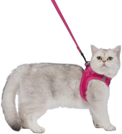 Voyager Step-in Air Cat Harness & Leash Set