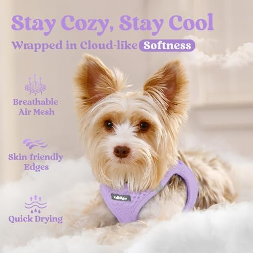 rabbitgoo Step-in Small Dog Harness, Puppy Vest