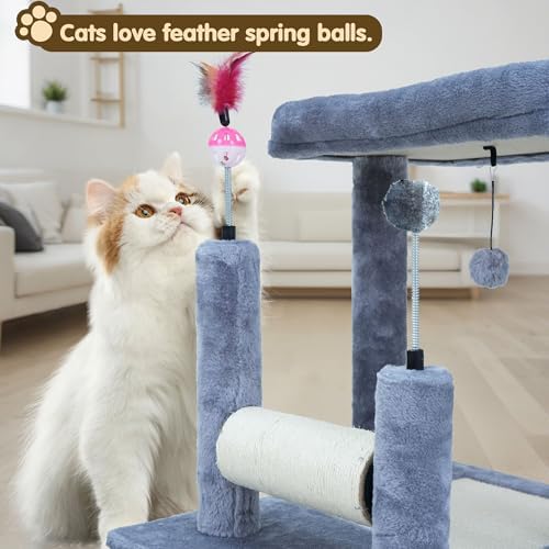 ROYPET Multifunctional Cat Scratching Posts