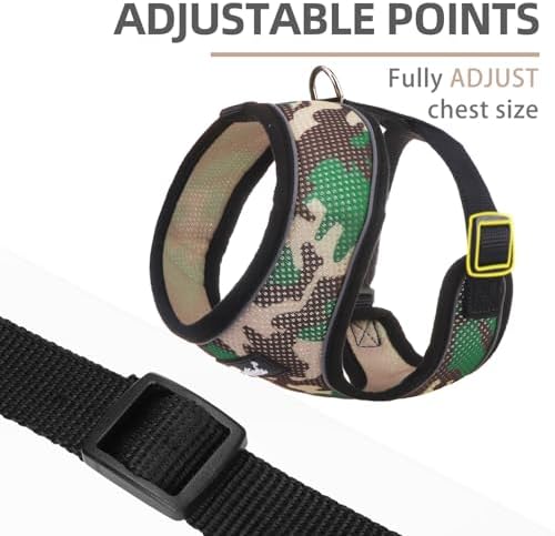 PUPTECK Small Dog Harness and Leash Set No Pull