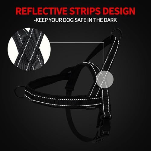 No Pull Dog Harness & 5FT Leash Set