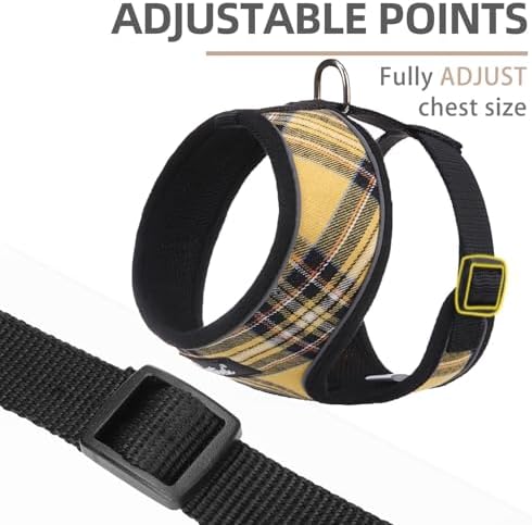 PUPTECK Small Dog Harness and Leash Set No Pull