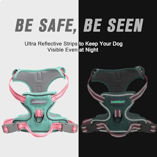 BARKBAY Dog Harness No Pull for Small Sized Dog Front Back Clips, Dog Vest