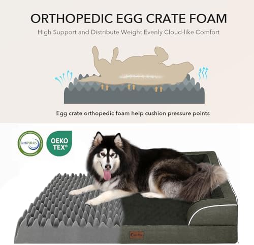 Orthopedic Dog Bed for Extra Large Dogs, Dark Green