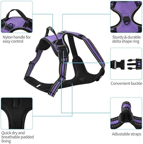 Purple No-Pull Dog Harness