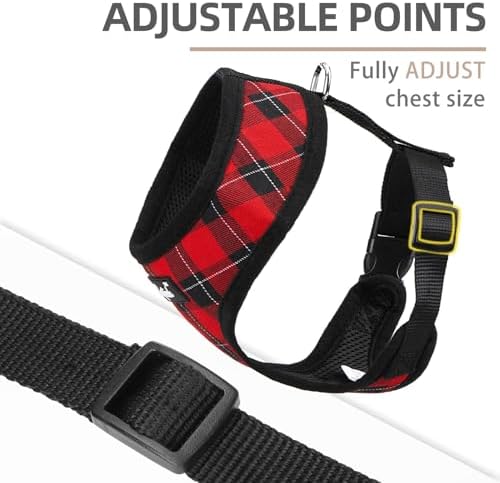 PUPTECK Small Dog Harness and Leash Set No Pull
