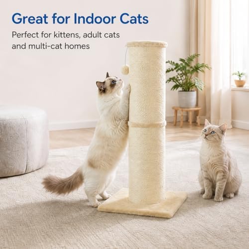 Cat Scratching Post with 5.5 Inch Diameter Sisal Post, 32 Inch
