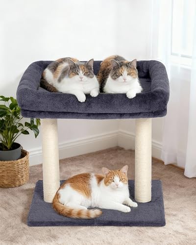 19" Small Cat Tree with Scratching Post