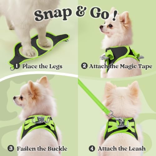 rabbitgoo Dog Harness Small Sized and Leash Set, Step in Soft Vest
