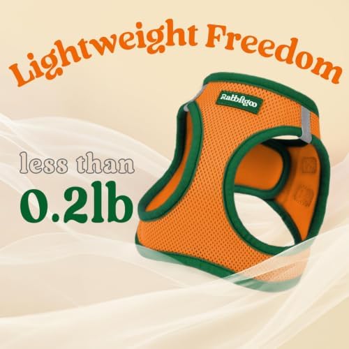 rabbitgoo Dog Harness Small Sized and Leash Set, Step in Soft Vest