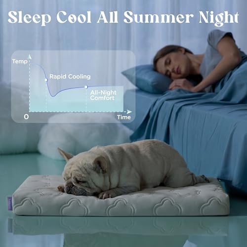 LE SURE ApexCloud™ Cooling Dog Bed
