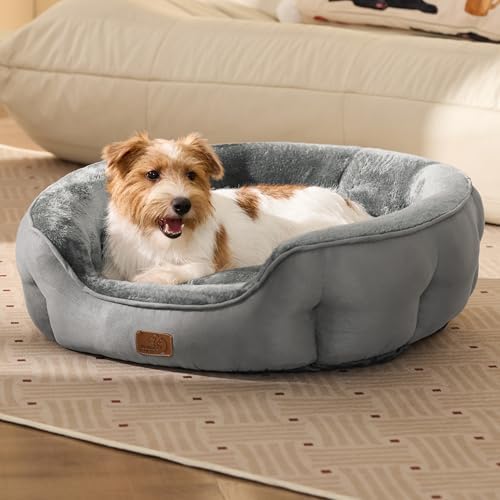 Bedsure Medium Dog Bed Washable, Large Cat Beds