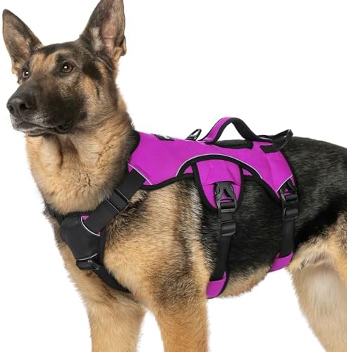 rabbitgoo Escape Proof Dog Harness