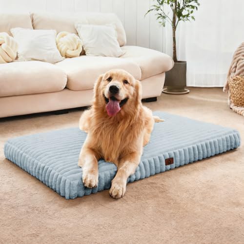 Large Orthopedic Dog Crate Bed