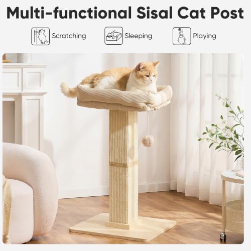 FUKUMARU Retro-Style Cat Scratching Post