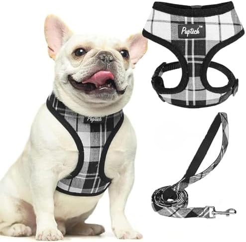 PUPTECK Small Dog Harness and Leash Set No Pull
