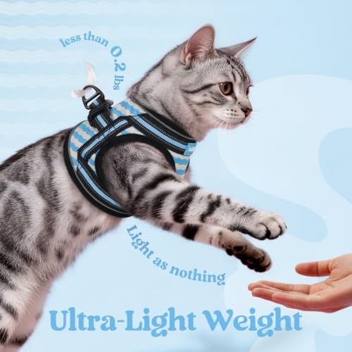 rabbitgoo Cat Harness and Leash Set, Step-in Soft Vest
